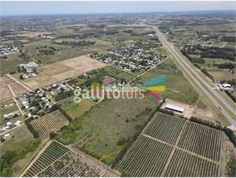 https://www.gallito.com.uy/vendo-terrenos-en-5-padrones-suburbanos-sobre-ruta-5-apto-p-inmuebles-24744992