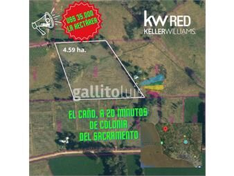 https://www.gallito.com.uy/venta-chacra-zona-de-gran-potencial-4-hectareas-inmuebles-23855794