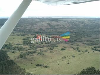 https://www.gallito.com.uy/venta-campo-600-hectareas-rocha-proyecto-forestal-inmuebles-24351463