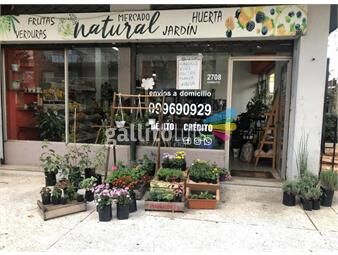 https://www.gallito.com.uy/oportunidad-llave-de-local-mercado-natural-verduleria-e-inmuebles-25505016