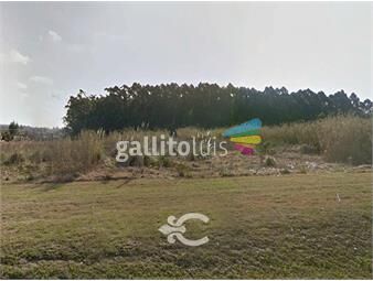 https://www.gallito.com.uy/terreno-proximo-a-ruta-101-ref-7522-inmuebles-20533139