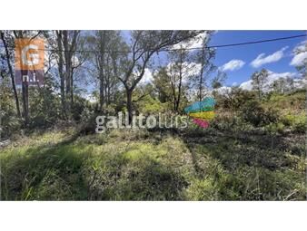 https://www.gallito.com.uy/terreno-en-piriapolis-playa-verde-ref-5879-inmuebles-25514024