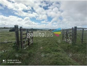 https://www.gallito.com.uy/venta-de-campo-maldonadocampo-de-41-hectareas-proximo-inmuebles-25535857