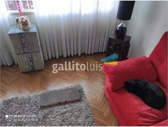 https://www.gallito.com.uy/apartamento-en-venta-con-renta-3-dormitorios-1-baño-patio-inmuebles-25088815
