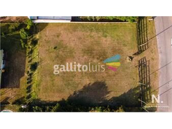 https://www.gallito.com.uy/en-venta-terreno-en-las-grutas-punta-ballena-inmuebles-25417581