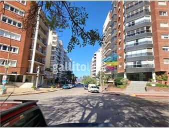 https://www.gallito.com.uy/alquiler-apartamento-1-dormitorio-villa-biarritz-inmuebles-25577136