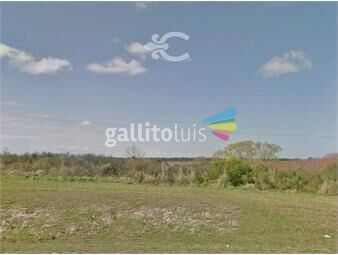https://www.gallito.com.uy/terreno-apto-para-logistica-ref-2424-inmuebles-18499838
