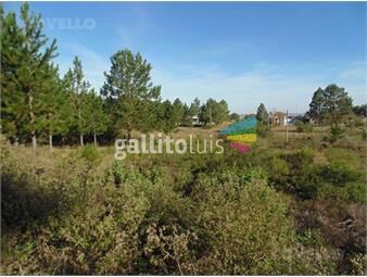 https://www.gallito.com.uy/venta-terreno-balneario-zagarzazu-inmuebles-25618577