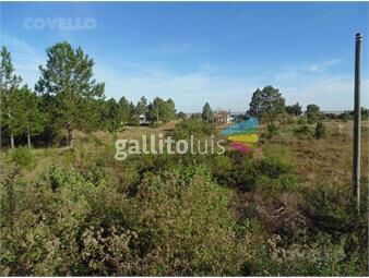 https://www.gallito.com.uy/venta-terreno-balneario-zagarzazu-inmuebles-25618587