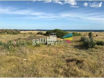 https://www.gallito.com.uy/venta-de-lote-en-las-grutas-punta-ballena-ref-pbi1974-inmuebles-23065298