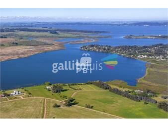 https://www.gallito.com.uy/venta-de-lote-en-laguna-de-los-cisnes-punta-ballena-ref-inmuebles-23082249