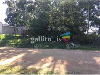 https://www.gallito.com.uy/punta-del-este-parque-burnett-excelente-terreno-apto-para-p-inmuebles-25226069