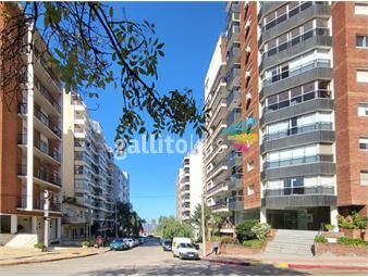https://www.gallito.com.uy/alquiler-apartamento-1-dormitorio-villa-biarritz-inmuebles-25636088