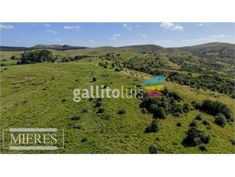 https://www.gallito.com.uy/campo-de-112ha-en-rocha-ganadero-forestal-inmuebles-25112502