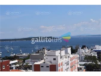 https://www.gallito.com.uy/apto-en-peninsula-linda-vista-inmuebles-25679040