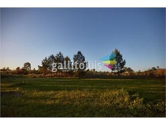 https://www.gallito.com.uy/chacra-en-venta-paraje-las-piedritas-inmuebles-24712805