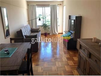 https://www.gallito.com.uy/apartamento-en-alquiler-de-un-dormitorio-en-malvin-inmuebles-25706365