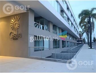 https://www.gallito.com.uy/vendo-departamento-de-1-dormitorio-con-terraza-punta-del-e-inmuebles-24867857