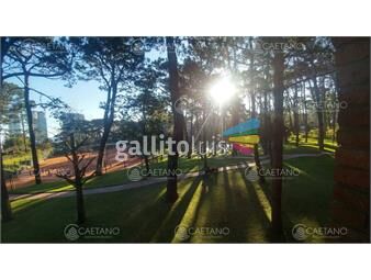 https://www.gallito.com.uy/edificio-pharos-arcobaleno-inmuebles-25771939