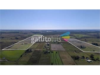 https://www.gallito.com.uy/campo-en-venta-39-hectareas-migues-canelones-inmuebles-25776515