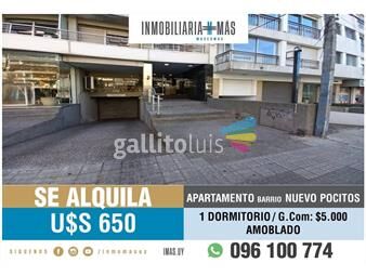 https://www.gallito.com.uy/apartamento-alquiler-pocitos-nuevo-montevideo-imasuy-gr-inmuebles-25780506