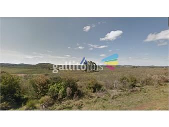 https://www.gallito.com.uy/37-hectareas-pueblo-eden-inmuebles-24056726