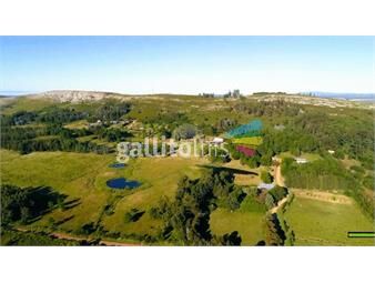 https://www.gallito.com.uy/chacra-en-venta-6has-sobre-la-sierra-de-la-ballena-maldo-inmuebles-25749342