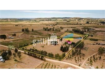 https://www.gallito.com.uy/venta-de-chacra-3-dormitorios-en-ruta-12-punta-ballena-r-inmuebles-25014506