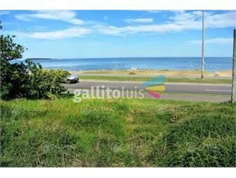 https://www.gallito.com.uy/venta-terreno-primera-linea-playa-manas-punta-del-este-inmuebles-24184290