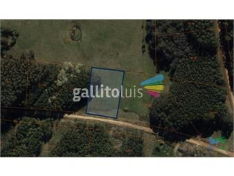 https://www.gallito.com.uy/venta-de-terreno-de-4000-m2-en-las-silvias-punta-del-este-inmuebles-23886720