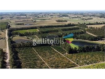 https://www.gallito.com.uy/venta-campo-quinta-92-hectareas-ruta-11-atlantida-inmuebles-25834864