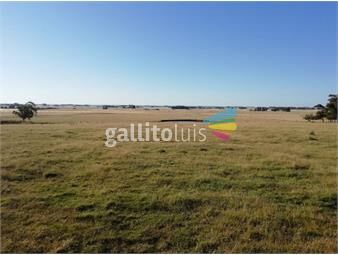 https://www.gallito.com.uy/campo-en-venta-en-rocha-ref-6429-inmuebles-18488608