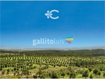 https://www.gallito.com.uy/campo-en-canelones-ref-8586-inmuebles-23291990