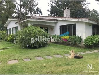 https://www.gallito.com.uy/casa-acogedora-muy-iluminada-inmuebles-25042060