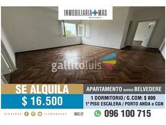 https://www.gallito.com.uy/alquiler-apartamento-belvedere-montevideo-imasuy-b-inmuebles-25844820