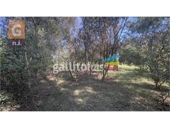 https://www.gallito.com.uy/terreno-en-punta-del-este-sauce-de-portezuelo-ref-6697-inmuebles-25848853