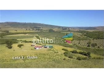 https://www.gallito.com.uy/venta-espectacular-campo-con-olivos-inmuebles-24896721