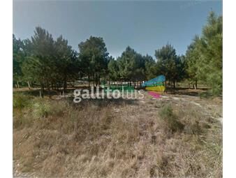 https://www.gallito.com.uy/venta-terrenos-financiados-solymar-entrega-s-250000-mas-inmuebles-25377229