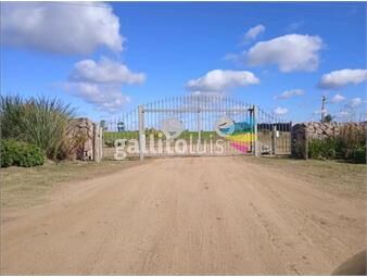 https://www.gallito.com.uy/venta-chacra-terrazas-de-la-laguna-3-ha-usd79000-inmuebles-25490939