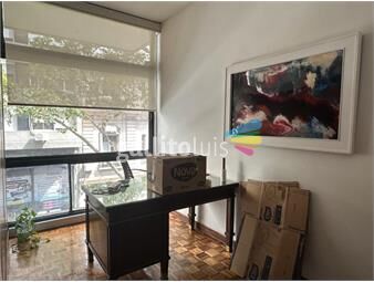 https://www.gallito.com.uy/hermosa-planta-en-alquiler-en-centro-varios-ambientes-inmuebles-25226022