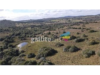 https://www.gallito.com.uy/chacras-de-5-ha-en-las-sierras-de-pueblo-eden-inmuebles-25868386