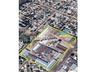 https://www.gallito.com.uy/deposito-centro-logistico-ruta-67-proximo-ruta-5-las-pied-inmuebles-25868512