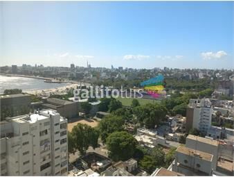 https://www.gallito.com.uy/venta-apartamento-de-3dorm-con-hermosa-vista-punta-carret-inmuebles-25301058