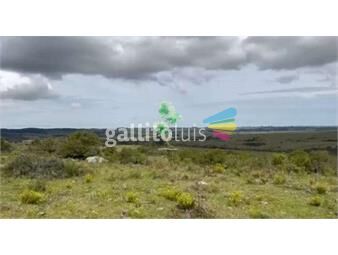 https://www.gallito.com.uy/venta-campo-en-maldonado-127-ha-inmuebles-25834958