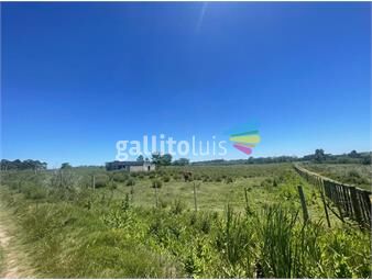 https://www.gallito.com.uy/venta-de-campo-con-7has-a-3-cuadras-de-ruta-34-inmuebles-25668620