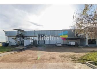 https://www.gallito.com.uy/venta-local-galpon-deposito-planta-industrial-melilla-la-re-inmuebles-25881082