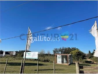 https://www.gallito.com.uy/venta-de-lotes-desde-300mtrs2-inmuebles-24876174