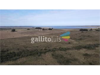 https://www.gallito.com.uy/fantastica-fraccion-de-37-has-en-rincon-de-jose-ignacio-inmuebles-25764432