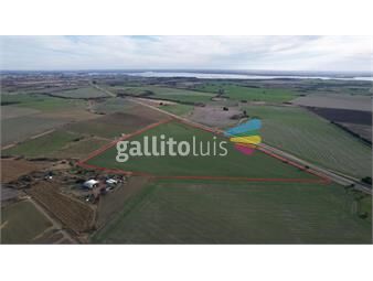 https://www.gallito.com.uy/campo-en-colonia-soriano-r-21-km-inmuebles-25861100