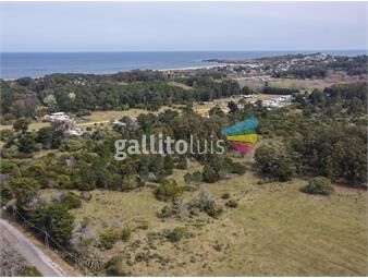 https://www.gallito.com.uy/venta-lote-ideal-para-barrio-privado-punta-ballena-inmuebles-24407435